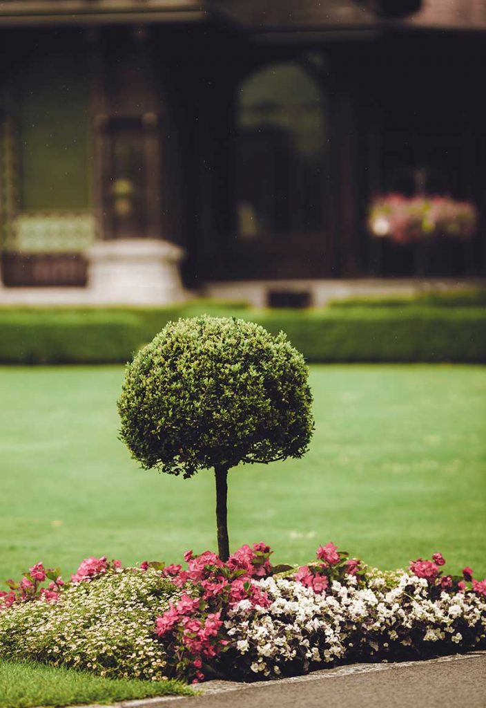 Plantation-d'arbres-et-de-massifs-paysagiste-Lyon